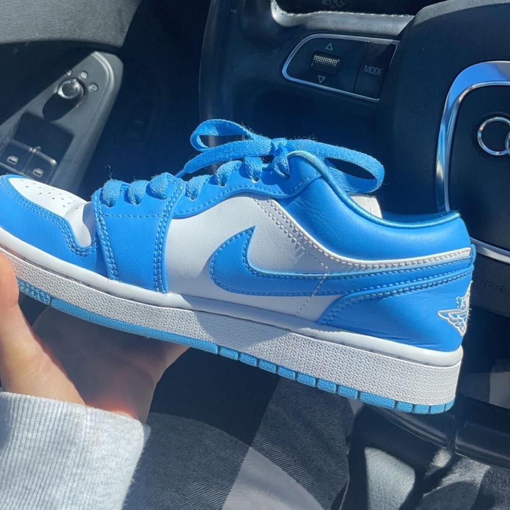 Nike dunk low university blues